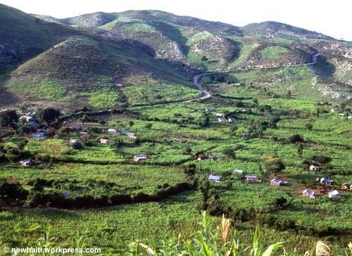 TECHNICAL SUPPORT FOR THE FINANCING AND AGRICULTURAL INSURANCE SYSTEM IN HAITI 